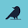 birdshades.com