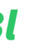 blerify.com