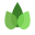 blomso.com
