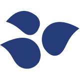 bloomcredit.io