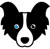 bonafide.ai