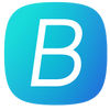 bridgtheapp.com