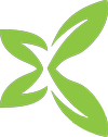 chibotanic.com