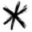 coupchampagne.com