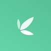 investbamboo.com