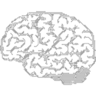 mindemulation.org