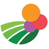 novella.co.il
