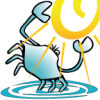 oceancity.com