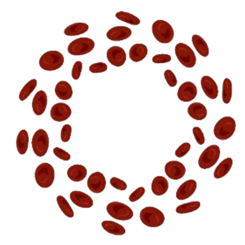 oncorevive.com