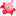 shantee.net
