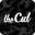 thecut.co