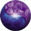 therakos.com