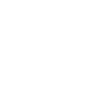 transvoyant.com