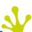wibitsports.com