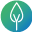 xylene.io